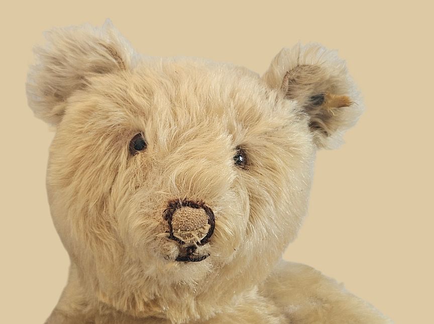 Rare antique Steiff - Teddy Bear / Original Teddy Bear - Pre